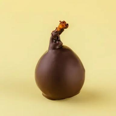 CHOCOLATE FIG BONBON