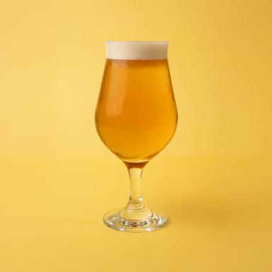 BEER Cruzcampo Doble