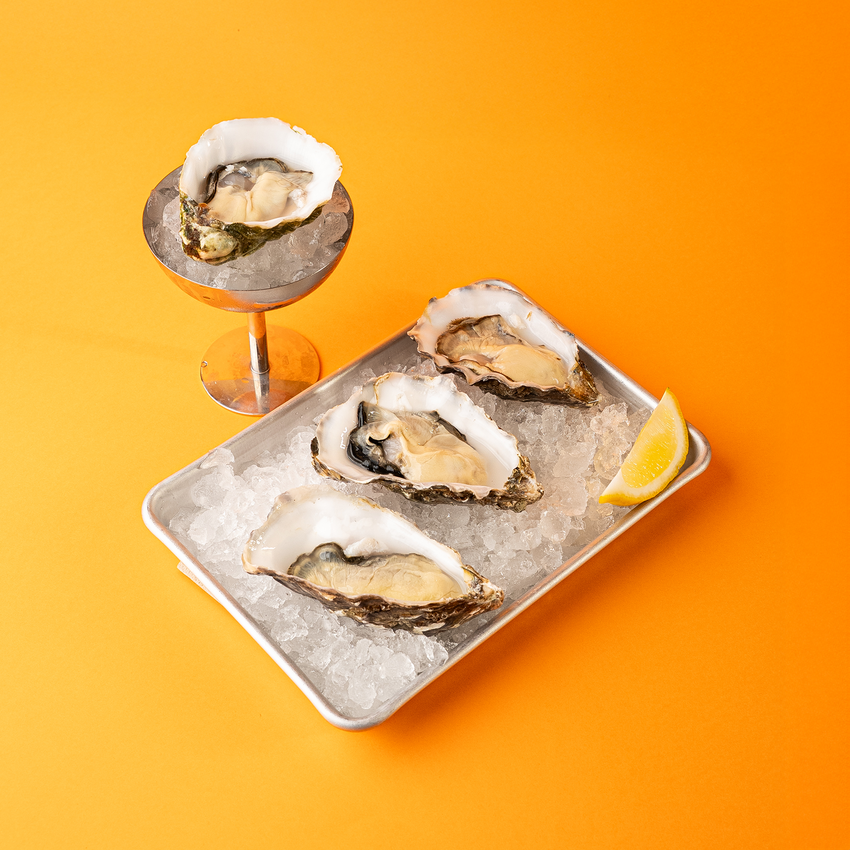 OSTERS JOLIE MAUGER FRANCE