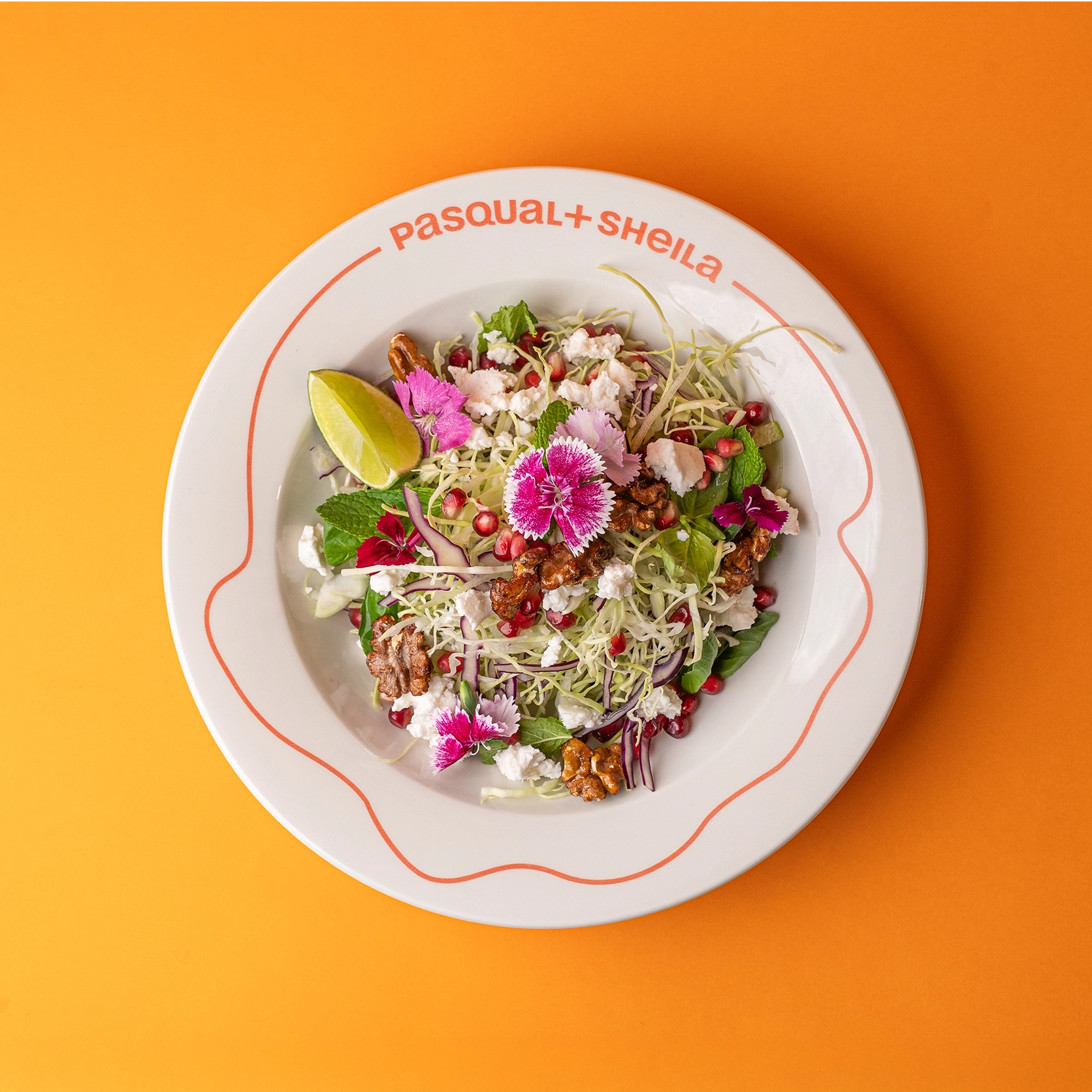 PURPLE SALAD BY SOFIA ROZHKO